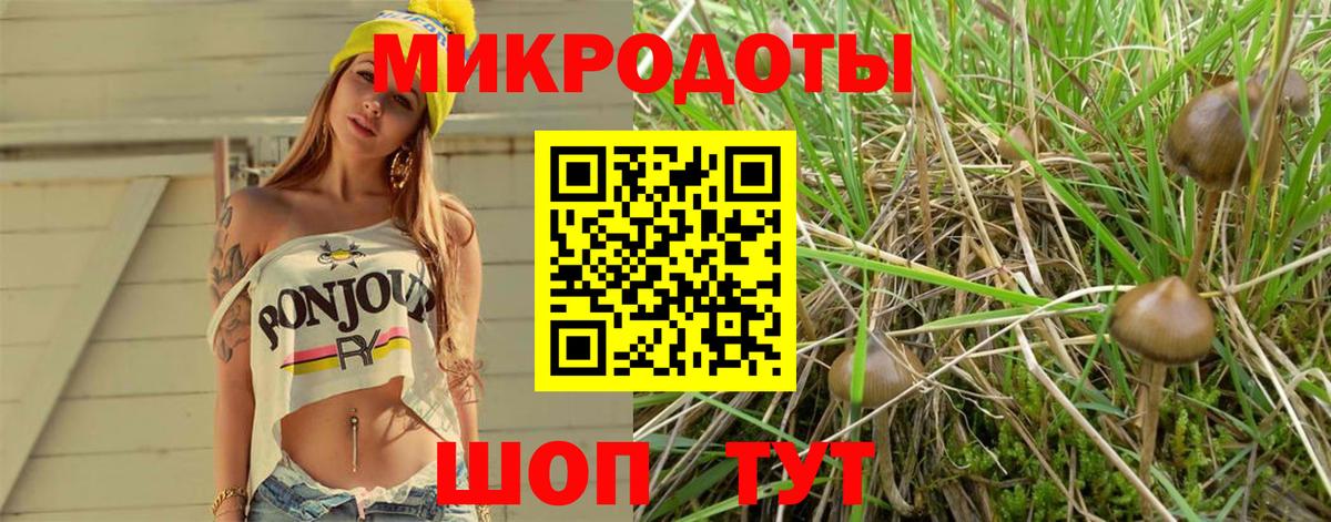 Галлюциногенные грибы ЛСД Назрань